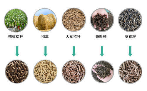 由木屑顆粒機加工的顆粒