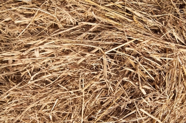 我國生物質(zhì)資源豐富
